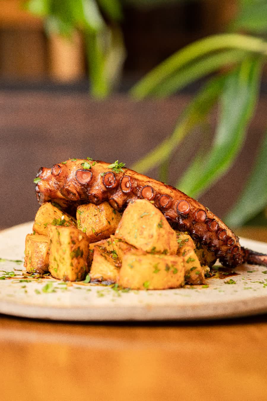 Pulpo a la plancha